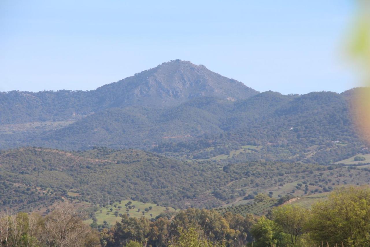 Los Dos Cedros San Pablo Exteriér fotografie