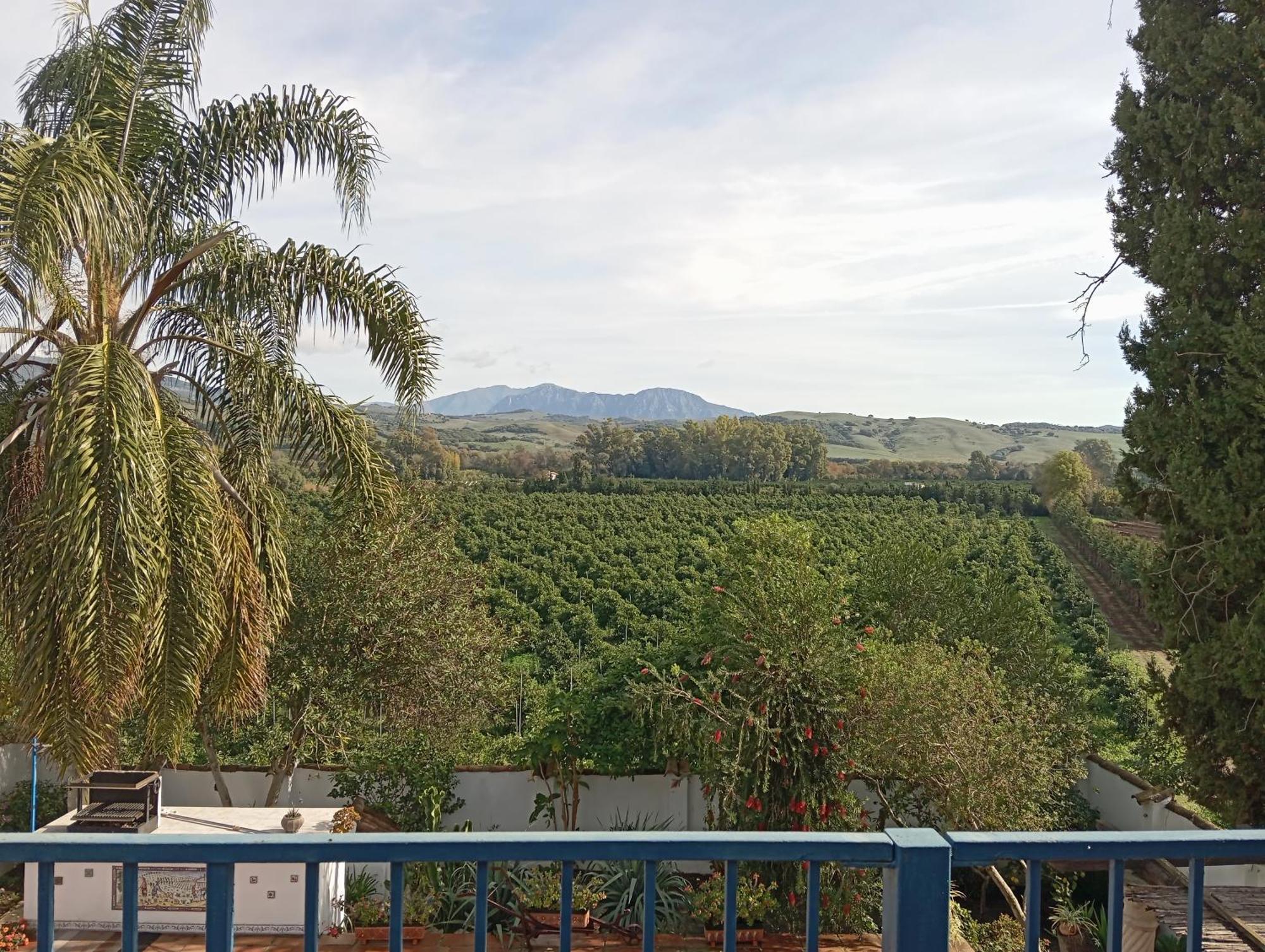 Los Dos Cedros San Pablo Exteriér fotografie